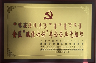 全區“雙強六好”非公企業黨組織