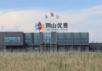 權(quán)威！陰山優(yōu)麥被認(rèn)證為“中國(guó)有機(jī)燕麥第 一品牌”